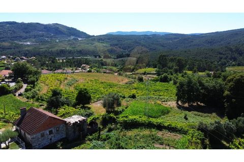 Villa i Ponte de Lima, Viana do Castelo, Ponte de Lima - € 115 000 | Ref: V516 - foto 23