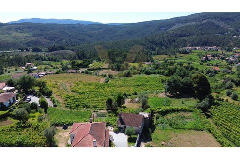 Villa i Ponte de Lima, Viana do Castelo, Ponte de Lima - € 115 000 | Ref: V516 - foto 24