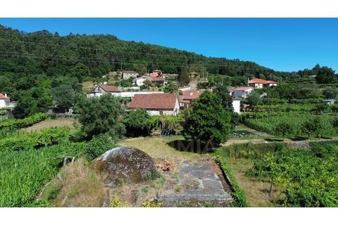 Villa i Ponte de Lima, Viana do Castelo, Ponte de Lima - € 115 000 | Ref: V516 - foto 25