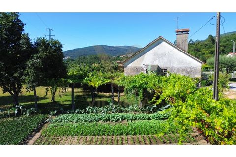 Villa i Ponte de Lima, Viana do Castelo, Ponte de Lima - € 115 000 | Ref: V516 - foto 26
