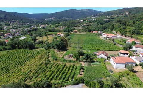 Villa i Ponte de Lima, Viana do Castelo, Ponte de Lima - € 115 000 | Ref: V516 - foto 28