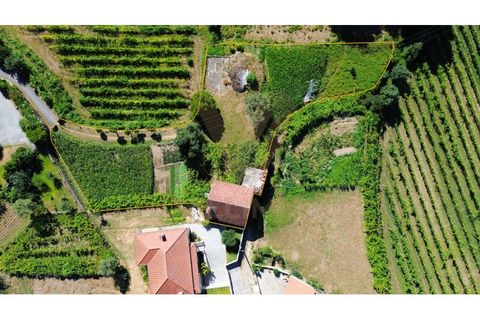 Villa i Ponte de Lima, Viana do Castelo, Ponte de Lima - € 115 000 | Ref: V516 - foto 30