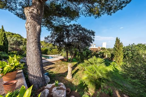 Villa i Capdepera, Mallorca, Capdepera - € 2.000/måned | Ref: 16811S - foto 14