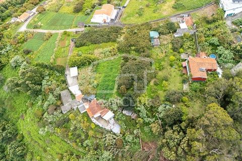 Terreno en Machico, Madeira, Machico - € 260.000 | Ref: 12079- FP - photo 5