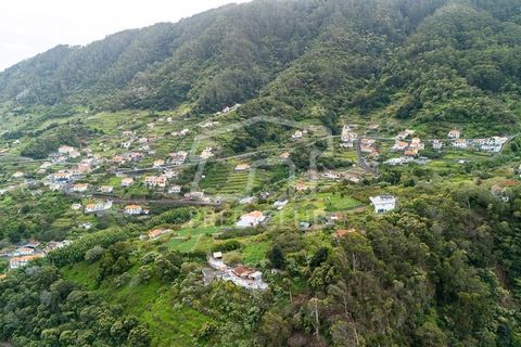 Terreno en Machico, Madeira, Machico - € 260.000 | Ref: 12079- FP - photo 6