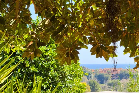 Apartament a Marbella, Malaga, Marbella - € 425.000 | Ref: MAR-0014 - foto 33