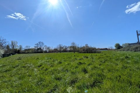 Terra a Rieumes, Haute-Garonne, Rieumes - € 95.000 | Ref: 3127225 - foto 3