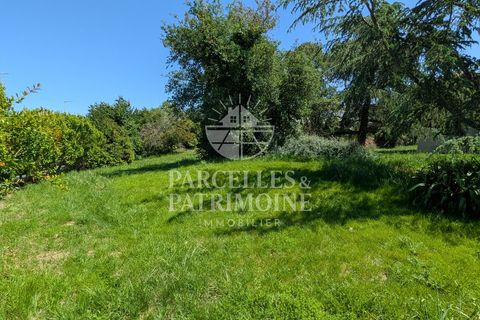 Terra a Villate, Haute-Garonne, Villate - € 115.000 | Ref: 3127253 - foto 2