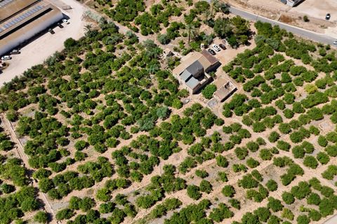 Landejendom i Orihuela, Alicante, Orihuela - € 599.000 | Ref: MLS60966R - foto 6