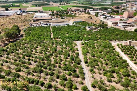 Landejendom i Orihuela, Alicante, Orihuela - € 599.000 | Ref: MLS60966R - foto 10