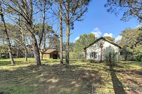 Villa i Moliets-et-Maa, Landes, Moliets-et-Maa - € 472.500 | Ref: 7TNG-0SB-4Q6 - foto 2