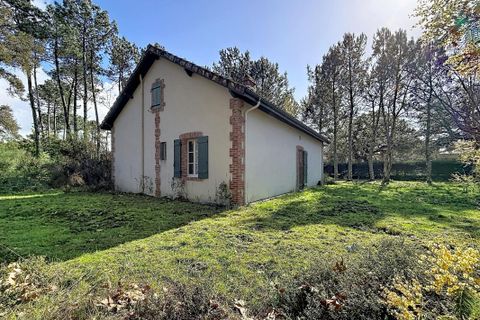 Villa i Moliets-et-Maa, Landes, Moliets-et-Maa - € 472.500 | Ref: 7TNG-0SB-4Q6 - foto 16