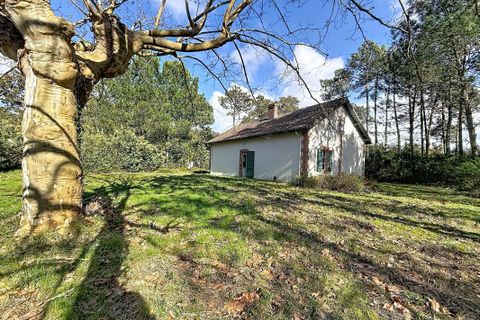 Villa i Moliets-et-Maa, Landes, Moliets-et-Maa - € 472.500 | Ref: 7TNG-0SB-4Q6 - foto 18