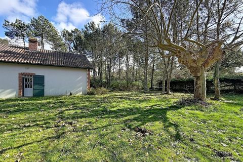 Villa i Moliets-et-Maa, Landes, Moliets-et-Maa - € 472.500 | Ref: 7TNG-0SB-4Q6 - foto 19