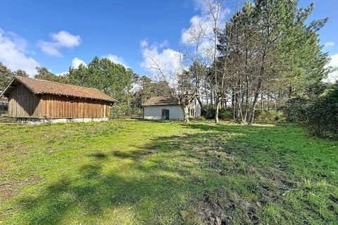 Villa i Moliets-et-Maa, Landes, Moliets-et-Maa - € 472.500 | Ref: 7TNG-0SB-4Q6 - foto 20