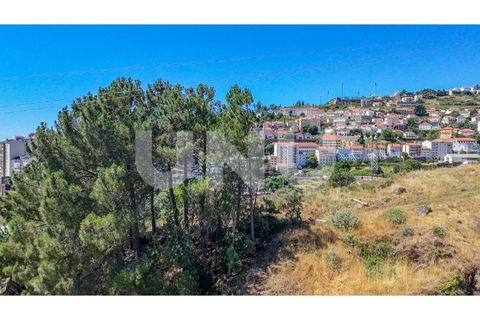 Helårsgrund i Covilha, Castelo Branco, Covilha - € 187.500 | Ref: UNU.i.2230.12348 - foto 6
