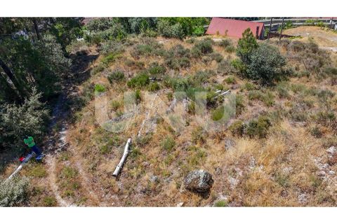 Helårsgrund i Covilha, Castelo Branco, Covilha - € 187.500 | Ref: UNU.i.2230.12348 - foto 8