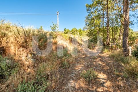 Helårsgrund i Covilha, Castelo Branco, Covilha - € 187.500 | Ref: UNU.i.2230.12348 - foto 22