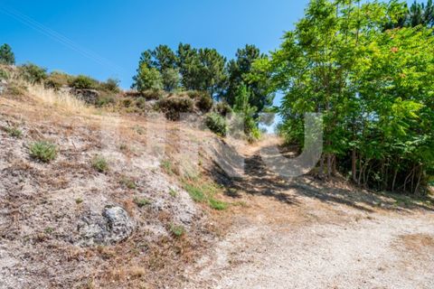 Helårsgrund i Covilha, Castelo Branco, Covilha - € 187.500 | Ref: UNU.i.2230.12348 - foto 23