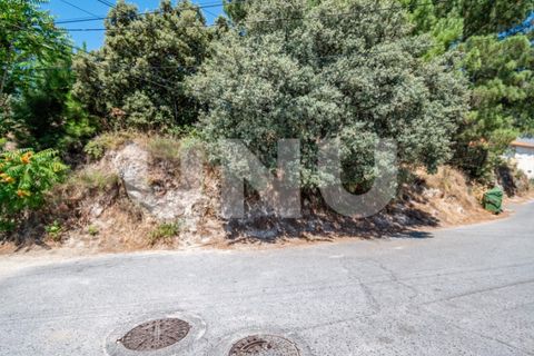 Helårsgrund i Covilha, Castelo Branco, Covilha - € 187.500 | Ref: UNU.i.2230.12348 - foto 26