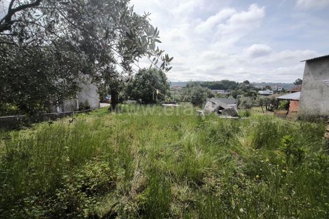 Villa i Viseu, Viseu, Viseu - € 30.000 | Ref: 389260117 - foto 6