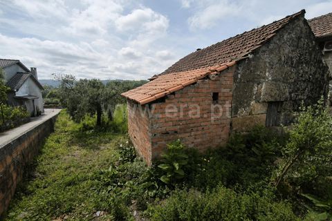 Villa i Viseu, Viseu, Viseu - € 30.000 | Ref: 389260117 - foto 10