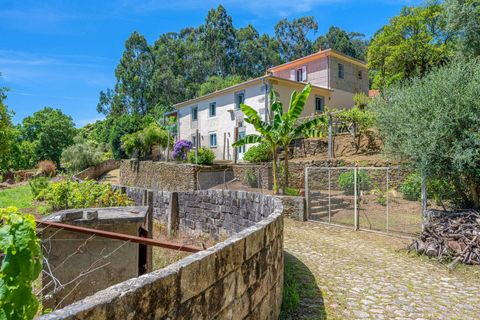 Farm i Caminha, Viana do Castelo, Caminha - € 600.000 | Ref: KWPT-031803 - foto 2