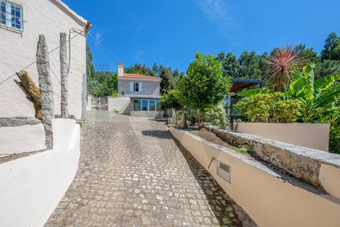 Farm i Caminha, Viana do Castelo, Caminha - € 600.000 | Ref: KWPT-031803 - foto 6