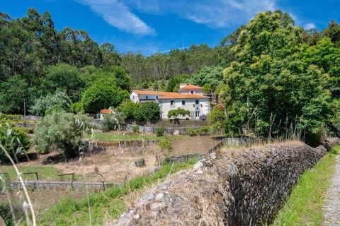 Farm i Caminha, Viana do Castelo, Caminha - € 600.000 | Ref: KWPT-031803 - foto 8