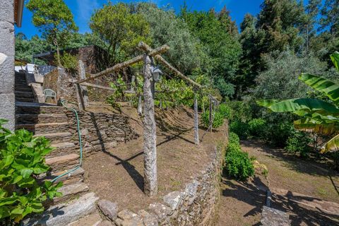 Farm i Caminha, Viana do Castelo, Caminha - € 600.000 | Ref: KWPT-031803 - foto 24