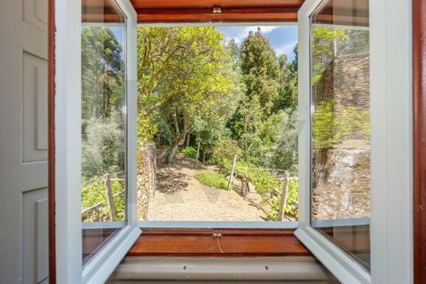 Farm i Caminha, Viana do Castelo, Caminha - € 600.000 | Ref: KWPT-031803 - foto 41
