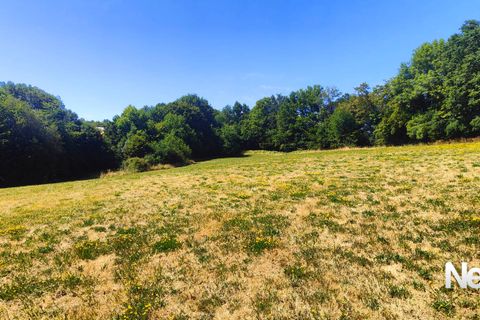 Terreno en Tulle, Correze, Tulle - € 40.000 | Ref: PM-5411 - photo 5