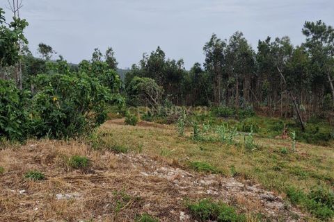 Villa i Colmeias, Leiria, Colmeias - € 86.500 | Ref: 1746-02888 - foto 6