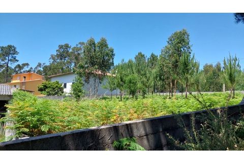 Tomt i Monte Real, Leiria, Monte Real - € 45 000 | Ref: mg1755 -1 - foto 6