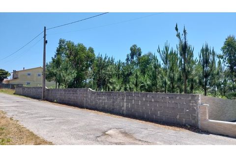 Tomt i Monte Real, Leiria, Monte Real - € 45 000 | Ref: mg1755 -1 - foto 8