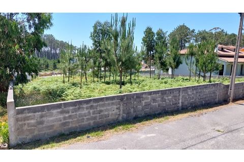 Tomt i Monte Real, Leiria, Monte Real - € 45 000 | Ref: mg1755 -1 - foto 9