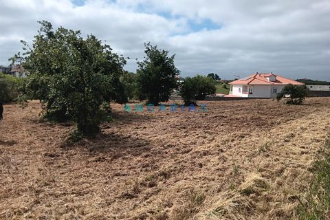 Helårsgrund i Batalha, Leiria, Batalha - € 145.000 | Ref: ANG1634 - foto 2