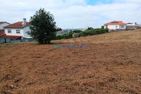 Helårsgrund i Batalha, Leiria, Batalha - € 145.000 | Ref: ANG1634 - foto 3