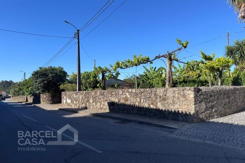 Tomt i Campo e Tamel, Braga, Campo e Tamel - € 400 000 | Ref: 179/26 - foto 7