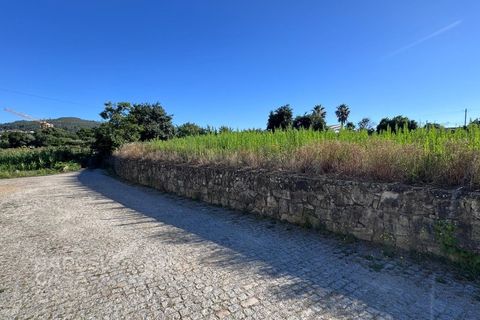 Tomt i Campo e Tamel, Braga, Campo e Tamel - € 400 000 | Ref: 179/26 - foto 10