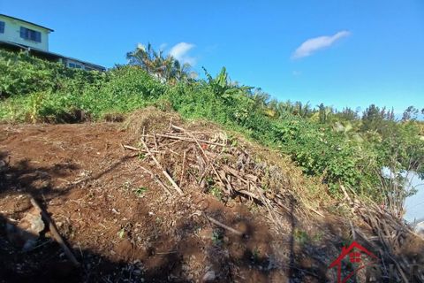Terra a Petite-Ile, La Reunion, Petite-Ile - € 373.000 | Ref: 114_6748 - foto 6