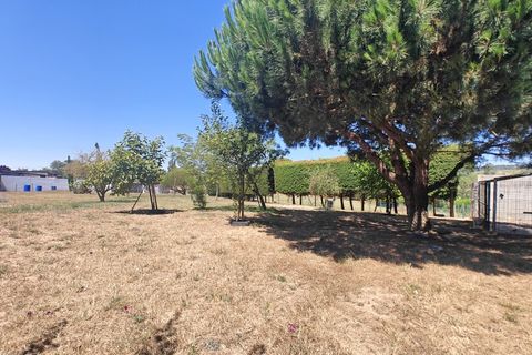 Villa i Carvalhal, Leiria, Carvalhal - € 800.000 | Ref: BL1378 - foto 45
