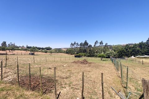 Villa i Carvalhal, Leiria, Carvalhal - € 800.000 | Ref: BL1378 - foto 47