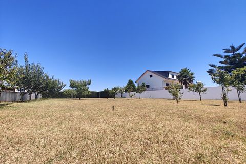 Villa i Carvalhal, Leiria, Carvalhal - € 800.000 | Ref: BL1378 - foto 50