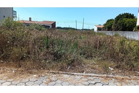 Helårsgrund i Ilhavo, Aveiro, Ilhavo - € 65.000 | Ref: AV26/074 - foto 8