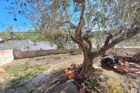 Villa a Moura, Beja, Moura - € 45.000 | Ref: 0173 - foto 18