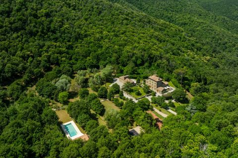 Herregård i Cortona, Arezzo, Cortona - € 8 750 000 | Ref: CBI134-2230-291 - foto 4