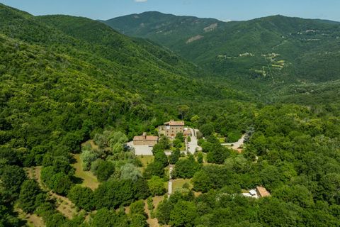Herregård i Cortona, Arezzo, Cortona - € 8 750 000 | Ref: CBI134-2230-291 - foto 5