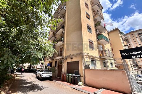 Lejlighed i Caltanissetta, Caltanissetta, Caltanissetta - € 60.000 | Ref: 1685 - foto 22
