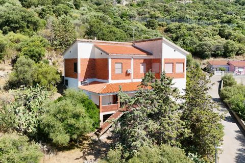 Lejlighed i Berchidda, Sassari, Berchidda - € 160.000 | Ref: CBI040-775-10641 - foto 1